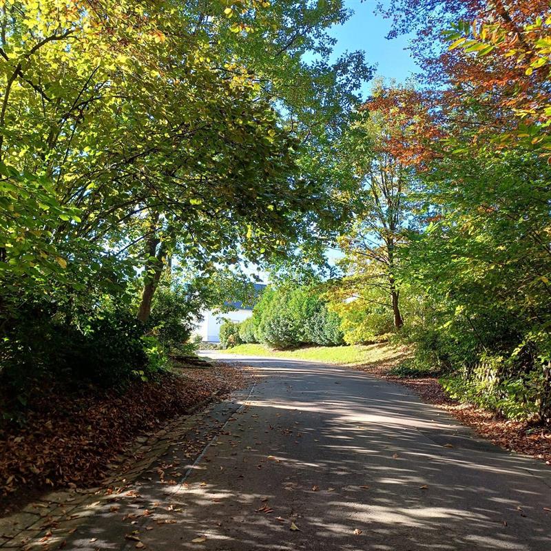 Ferielejlighed - 4 personer -  - Königsbergerstraße - 66663 - Merzig