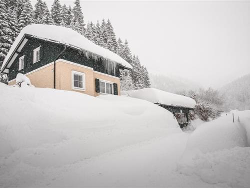 Ferielejlighed - 4 personer -  - Weitental - 3295 - Lackenhof
