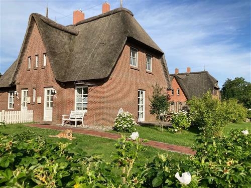 Sommerhus - 3 personer -  - Friesenstr. - 25826 - St. Peter-Ording