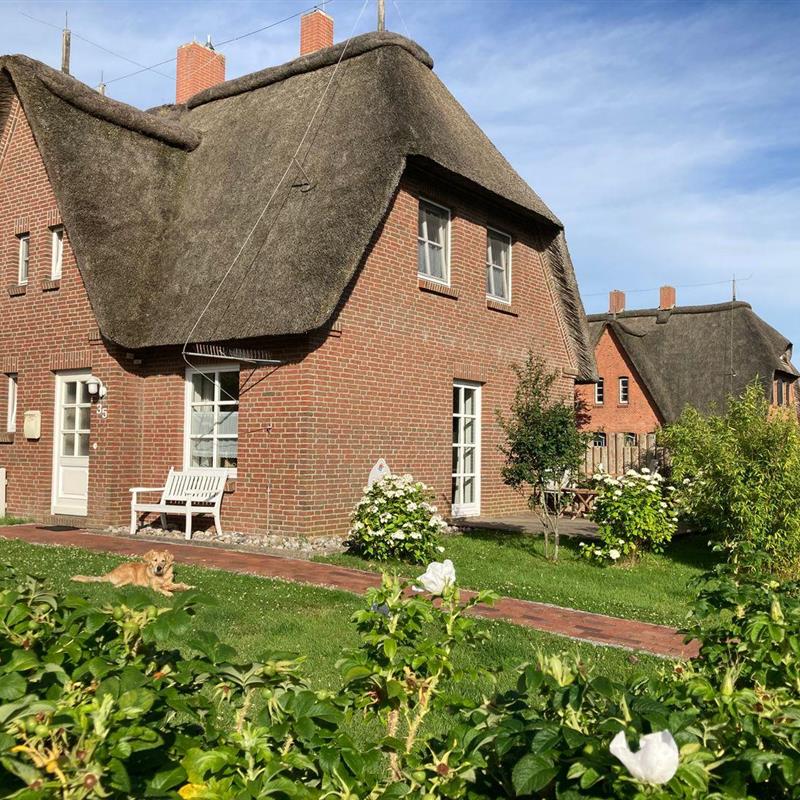 Sommerhus - 3 personer -  - Friesenstr. - 25826 - St. Peter-Ording