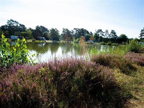 Ferielejlighed - 2 personer -  - An der Bundesstr. - 29614 - Soltau