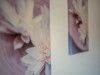 Bild 15 - Innen