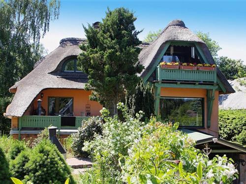 Sommerhus - 6 personer -  - 17194 - Damerow