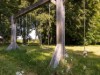 Billede 17