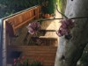 Image 32 - Outside