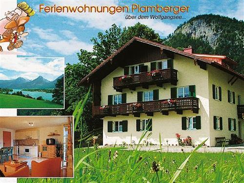 Ferielejlighed - 4 personer -  - Ried - 5360 - St. Wolfgang Am Wolfgangs