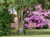 Bild 10 - Ude
