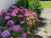 Bild 19