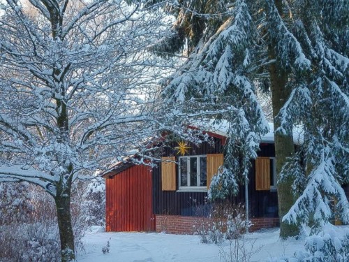 Fritidshus - 4 personer -  - 06502 - Allrode