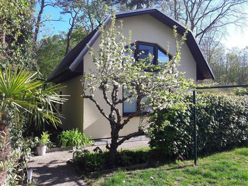 Sommerhus - 4 personer -  - Dünenstraße 17 a - 18225 - Kühlungsborn