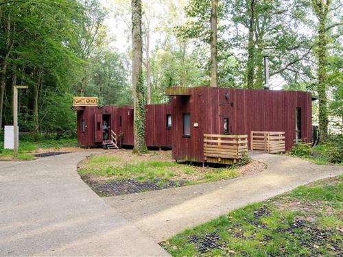 Bungalow - 6 personer -  - 7640 - Antoing