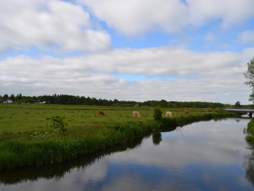 Fritidshus - 4 personer -  - Jedsted Bjergevej - Ribe - 6771 - Gredstedbro