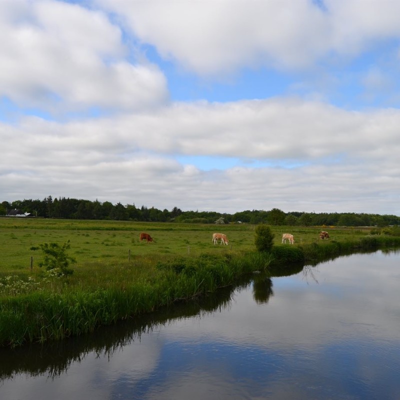 Ferienhaus - 4 Personen -  - Jedsted Bjergevej - Ribe - 6771 - Gredstedbro