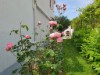 Billede 4