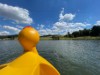Billede 11