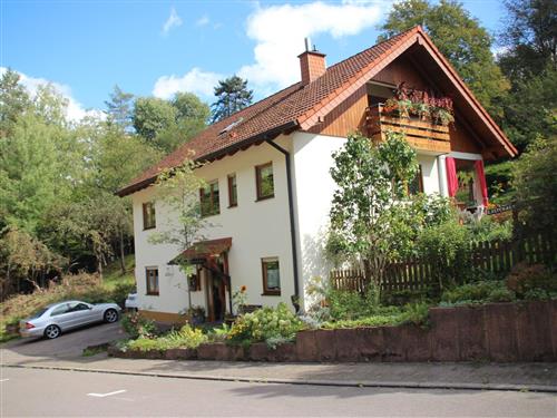 Ferieleilighet - 2 personer -  - Sportplatzstr. - 76857 - Rinnthal