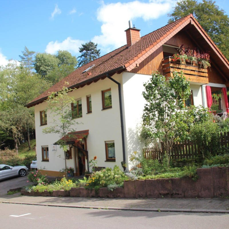 Ferielejlighed - 2 personer -  - Sportplatzstr. - 76857 - Rinnthal