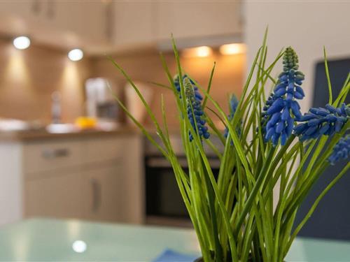 Ferieleilighet - 2 personer -  - Waldstr. - 23747 - Dahme