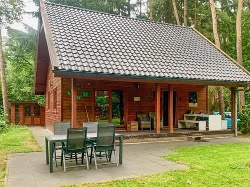 Sommerhus - 6 personer -  - Hanendorperweg - 8166 JJ - Emst