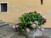 Bild 33