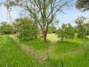 Billede 30 - Grund