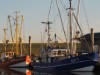 Billede 22