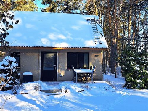 Ferielejlighed - 3 personer -  - Rademacherstraße - 02991 - Lauta - Torno