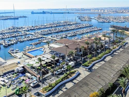 Ferielejlighed - 4 personer -  - Paseo Vistalegre - 03181 - Torrevieja