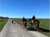 Billede 12
