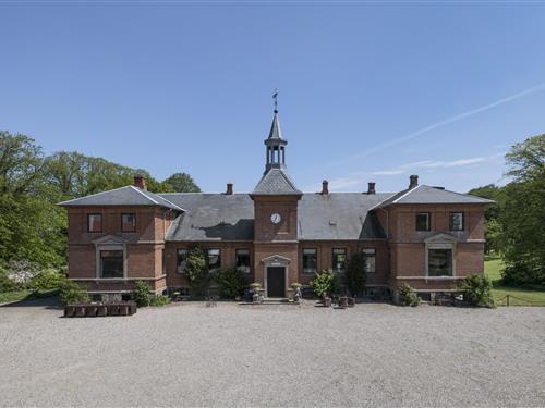 Holiday home - 22 persons -  - Hennetvedvej - Langeland - 5900 - Rudkøbing