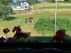 Billede 4