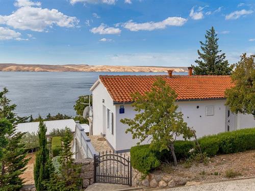 Ferielejlighed - 3 personer -  - Baric Draga - Karlobag-Baric Draga - 53288 - Baric Draga