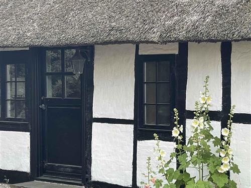 Villa - 7 Personen -  - Maribovej - 4960 - Holeby