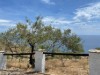 Bilde 36