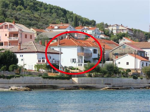 Holiday apartment - 3 persons -  - Šetalište Brgacelj - 23272 - Kali