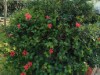 Image 27 - Outside