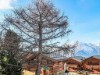 Bild 27 - Aussen