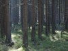 Bild 29 - Aussen