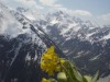 Bild 41