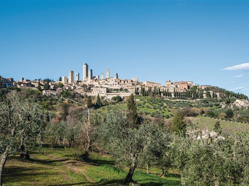 Ferienhaus - 4 Personen -  - Piazza delle Erbe, - San Gimignano - 53037 - San Gimignano (Si)