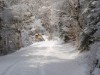 Bild 20