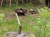 Bild 22