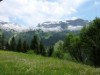 Bilde 5