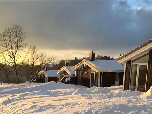 Semesterhus/Semesterlägenhet - 6 personer -  - Panoramablick - 37444 - St. Andreasberg