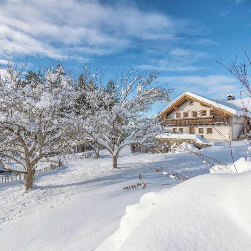 Ferielejlighed - 4 personer -  - Breitenberg - 94139