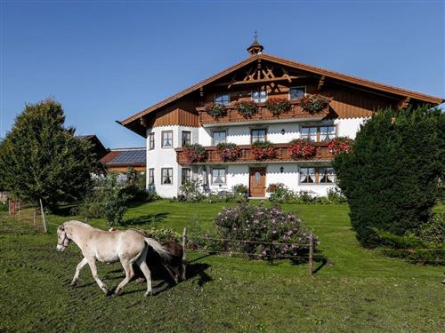 Ferielejlighed - 2 personer -  - Bergweg - 82395 - Obersöchering