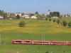 Bilde 23 - Ude