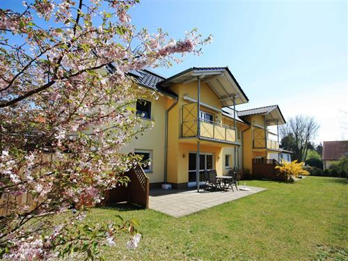 Ferieleilighet - 7 personer -  - Kaminofen, DVD, DTV:****, LCD-TV, ruhige Südlage, sonnig - 17459 - Koserow