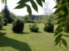 Bilde 4