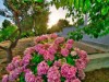 Image 32 - Outside